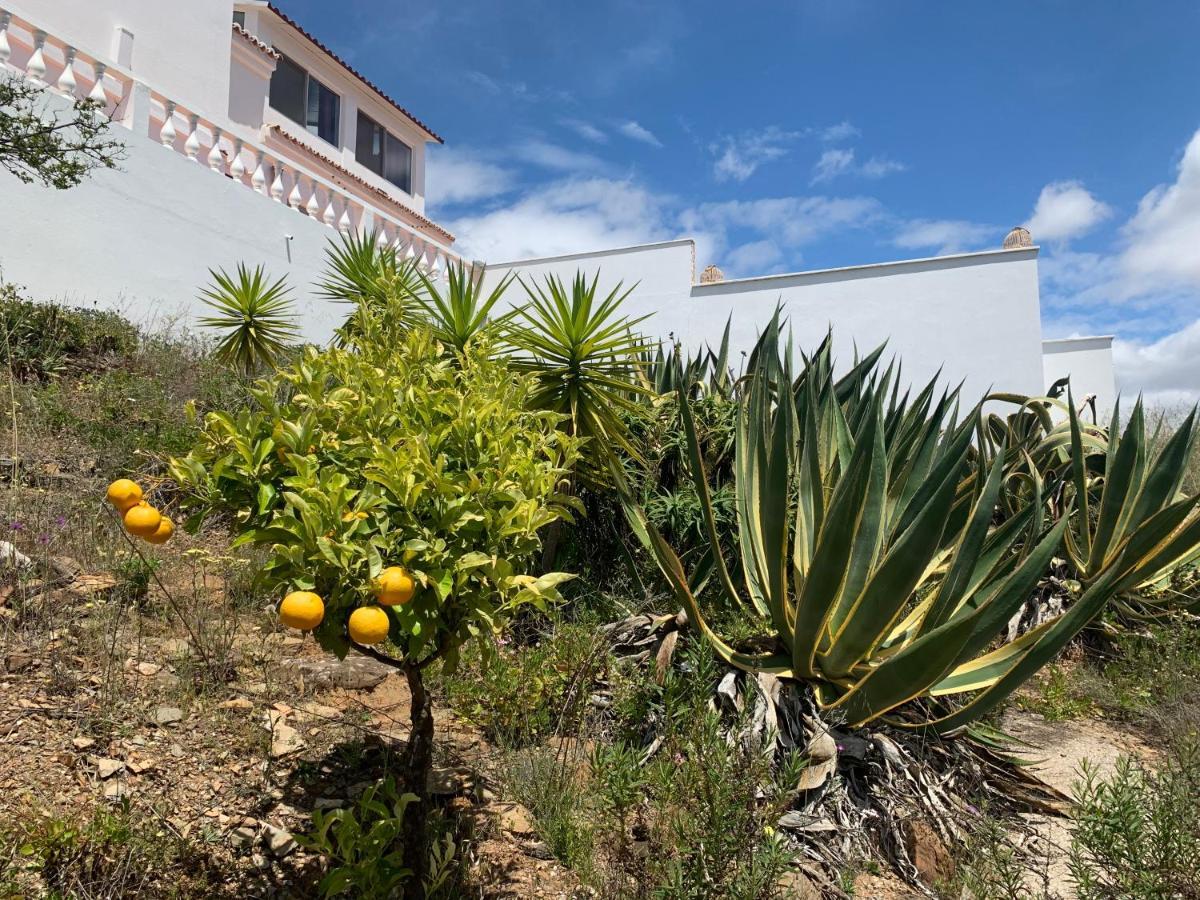 Villa Vale Grande Tavira Exterior foto